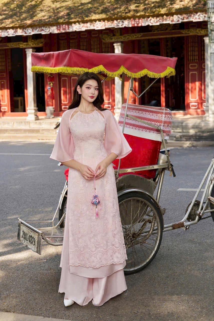 Lacey Vietnamese pink aodai, pants included