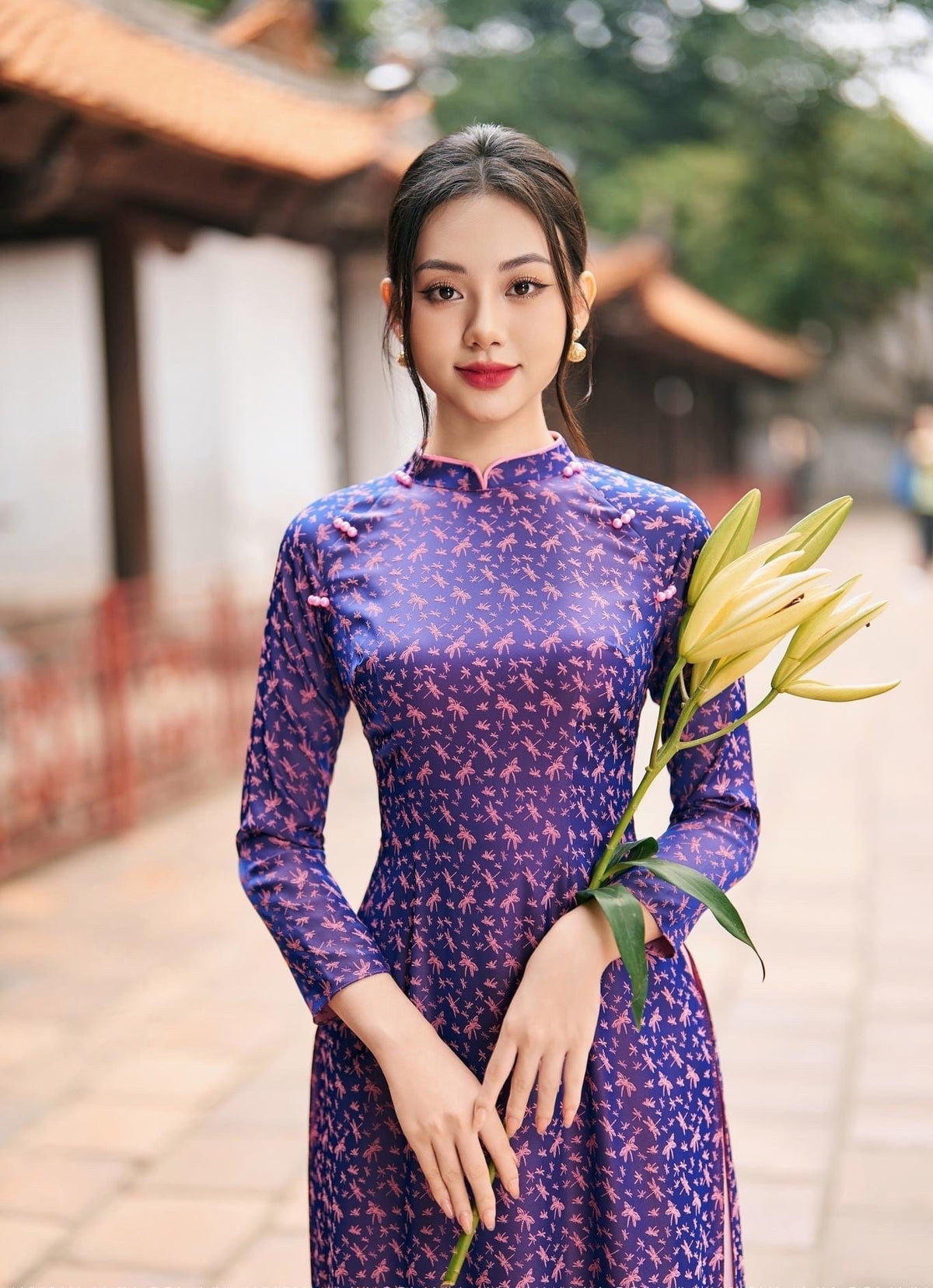 Dragonfly Vietnamese aodai purple, pants included